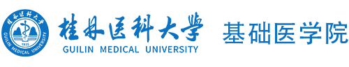 返回首页